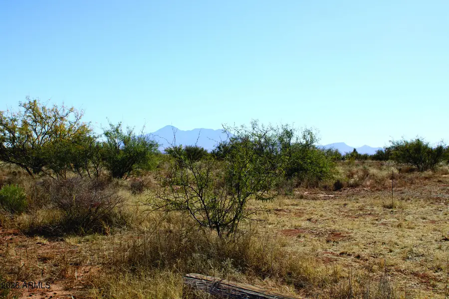 4.0 Acres E Tierra Del Sol Drive #1, Hereford, AZ 85615 - Image #2