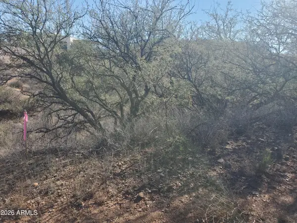 909 Paseo Los Mochis -- #40, Rio Rico, AZ 85648