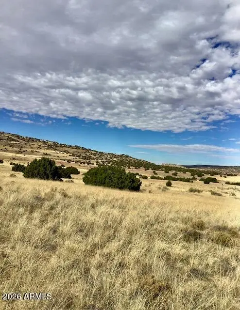 2 County Road N4016 -- #6, Saint Johns, AZ 85936 - Image #2