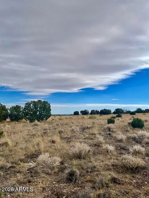 2 County Road N4016 -- #6, Saint Johns, AZ 85936 - Image #3