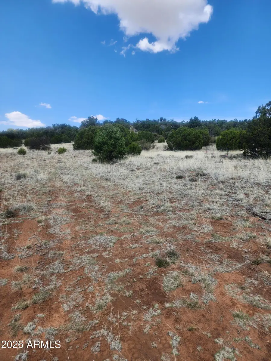 4 Acr 8410 -- #416, Concho, AZ 85924 - Image #3