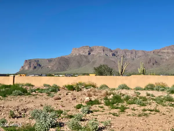 2790 S Petroglyph Trail #66, Gold Canyon, AZ 85118