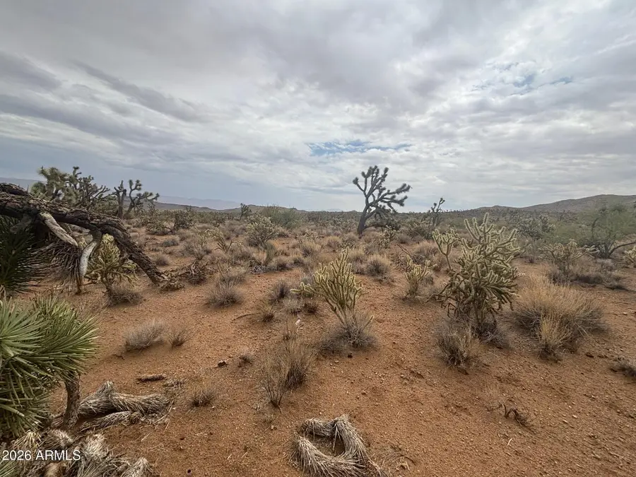 18290 N Smoke Drive #220, Dolan Springs, AZ 86441 - #2