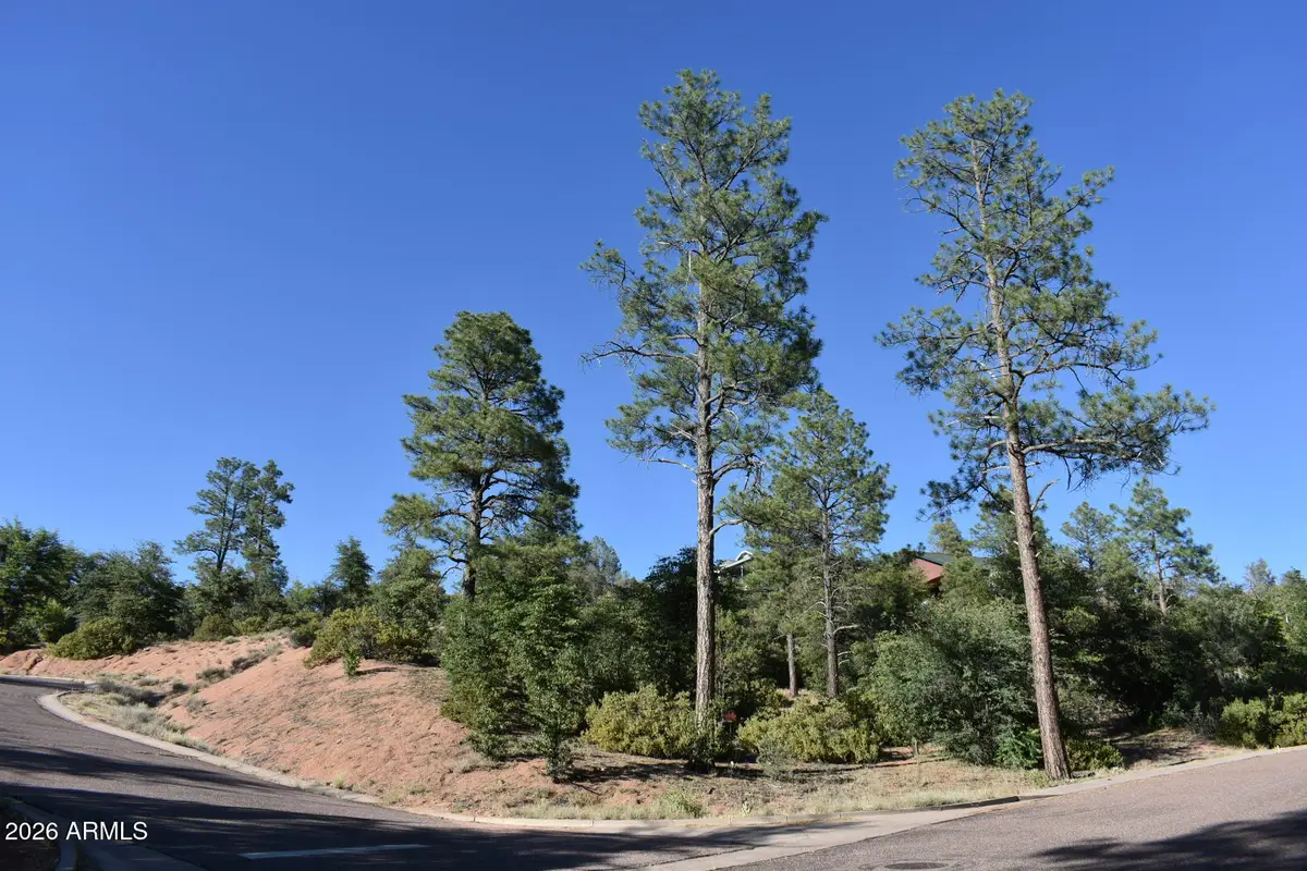 LOT 19 E Pine Ridge Drive #19, Star Valley, AZ 85541 - Image #1