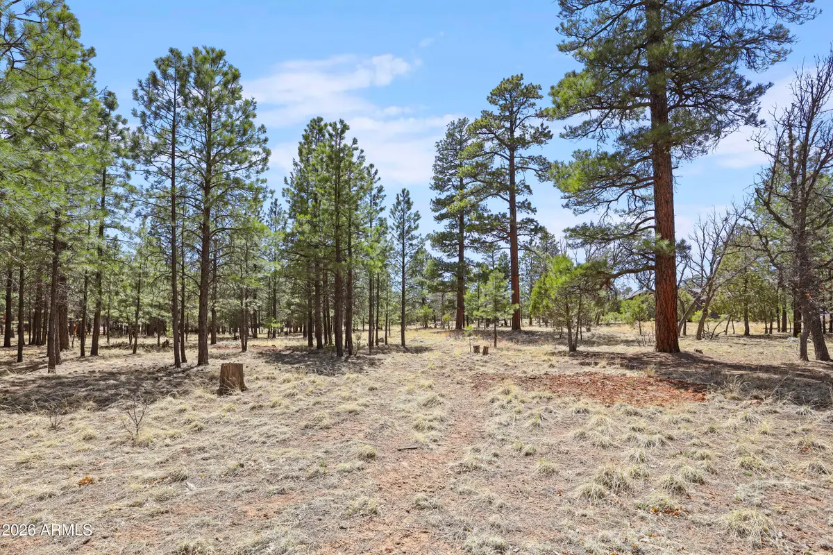 1755 Sugar Pine Drive #232, Happy Jack, AZ 86024 - #1