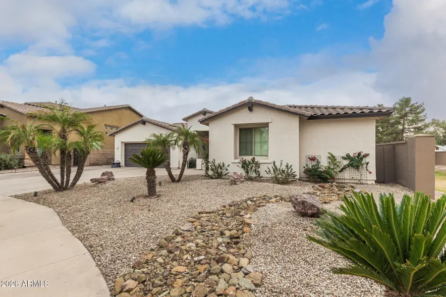 2513 E Zion Way, Chandler, AZ 85249 - #3