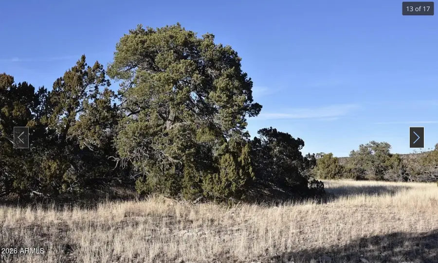 13537 Bly Station Road #414, Williams, AZ 86046 - #2