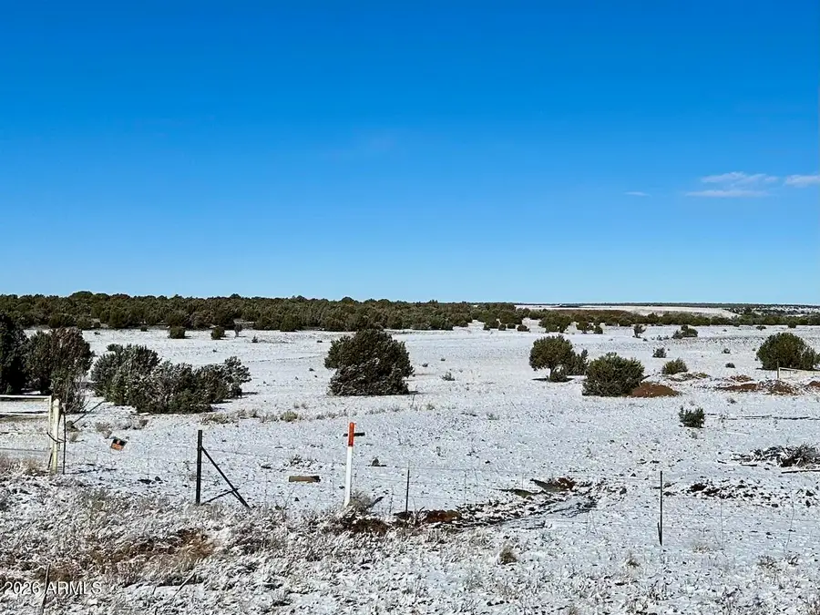 4500 E Deuce Of Clubs -- #210-01-041D, Show Low, AZ 85901 - #3