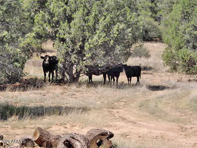 00 W Slate Road #98, Prescott, AZ 86305 - Image #3