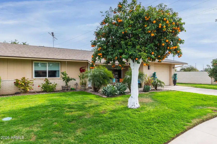 9001 N 109th Drive, Sun City, AZ 85351 - #2