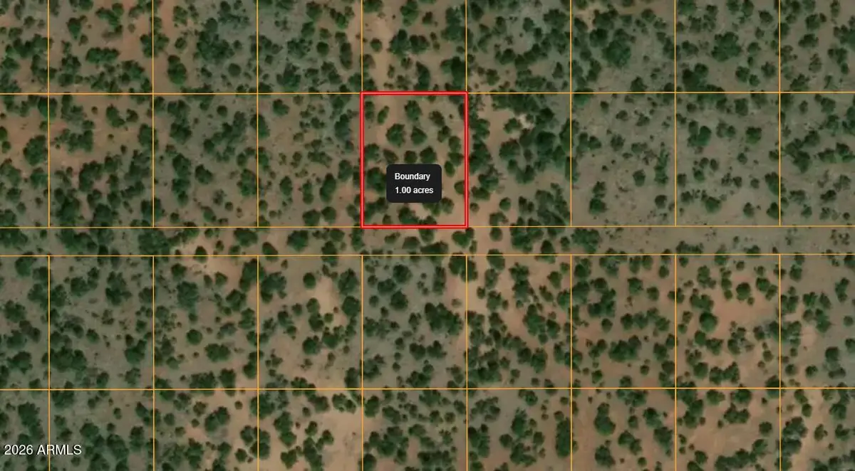 731 E Snowdrift Road #248, Williams, AZ 86046 - #1