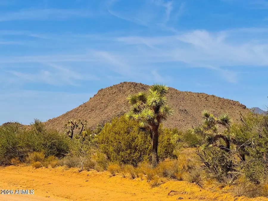 TBD S Rawhide Rd 38.82 Acres --, Yucca, AZ 86438 - #2