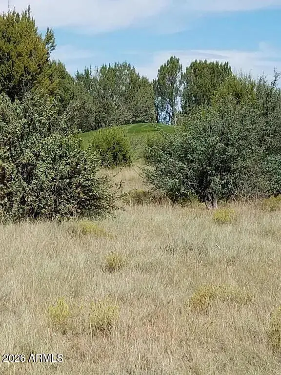 8388 Lake View Drive #27, Show Low, AZ 85901 - #2