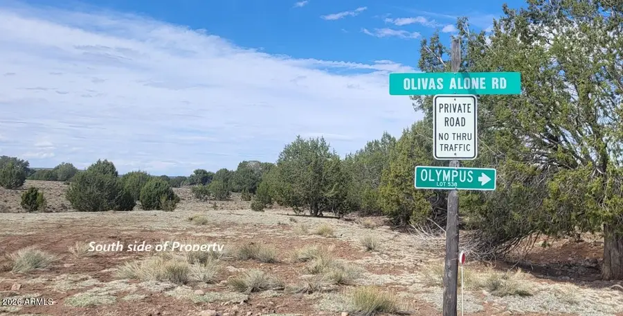 304 Olivas Alone Road #304, Williams, AZ 86046 - #2