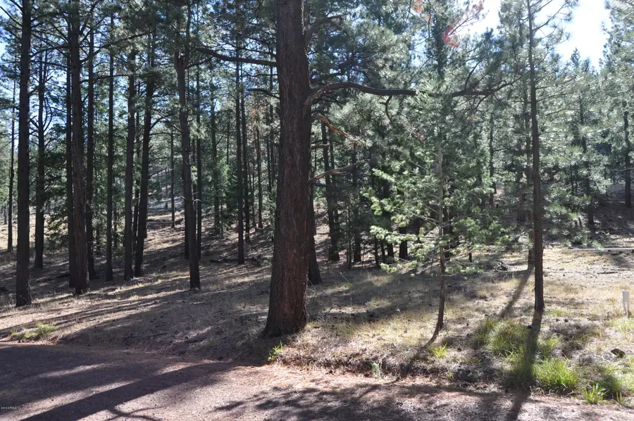 37 N Crn 1330 Road #19, Greer, AZ 85927 - Image #3
