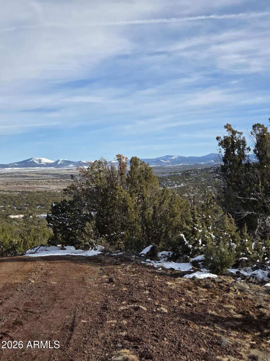 10 Acr 8125 Road #278, Concho, AZ 85924 - Image #2