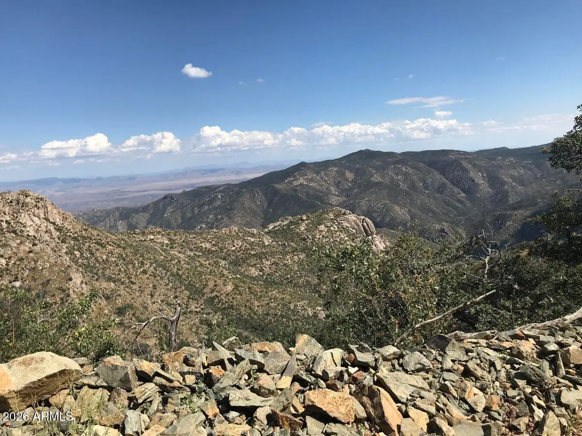 22431 S Gladiator Mine Road, Crown King, AZ 86343 - Image #1