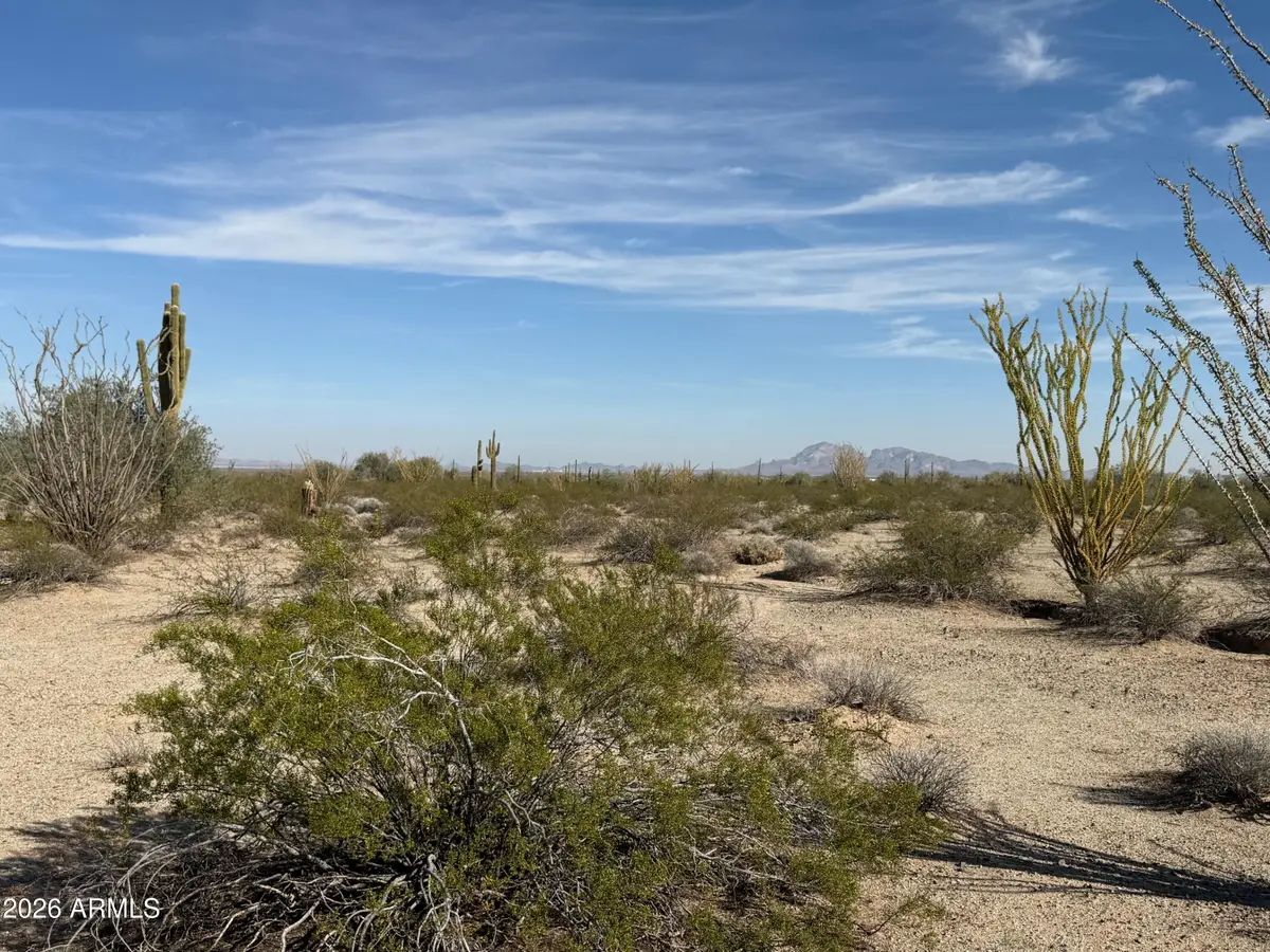 48620 W Van Buren Street, Tonopah, AZ 85354 - #1