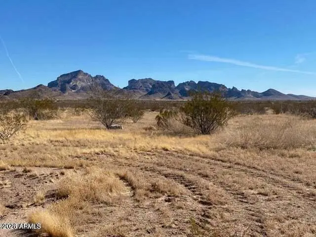 48620 W Van Buren Street, Tonopah, AZ 85354 - #2