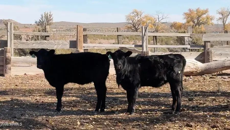 1889 North Road, Winslow, AZ 86047 - #3