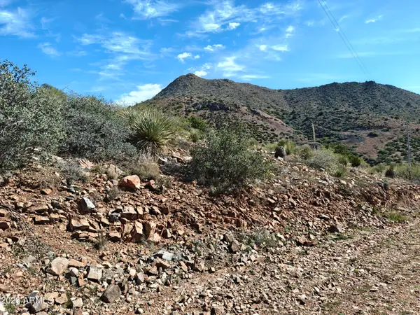 TBD Vista Circle -- #169-A, Globe, AZ 85501