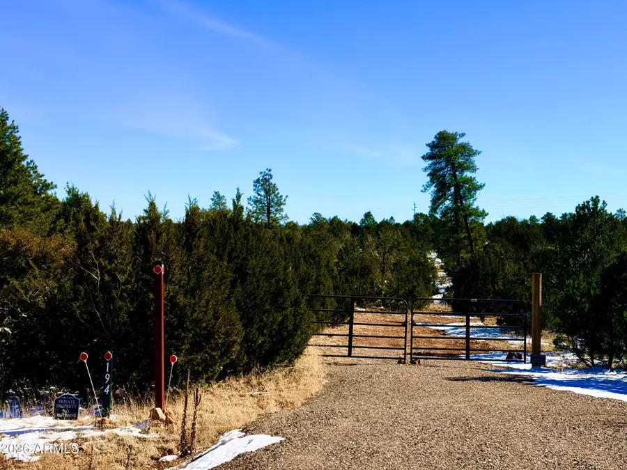 5302 Sunset Ridge Loop #194, Happy Jack, AZ 86024 - #3