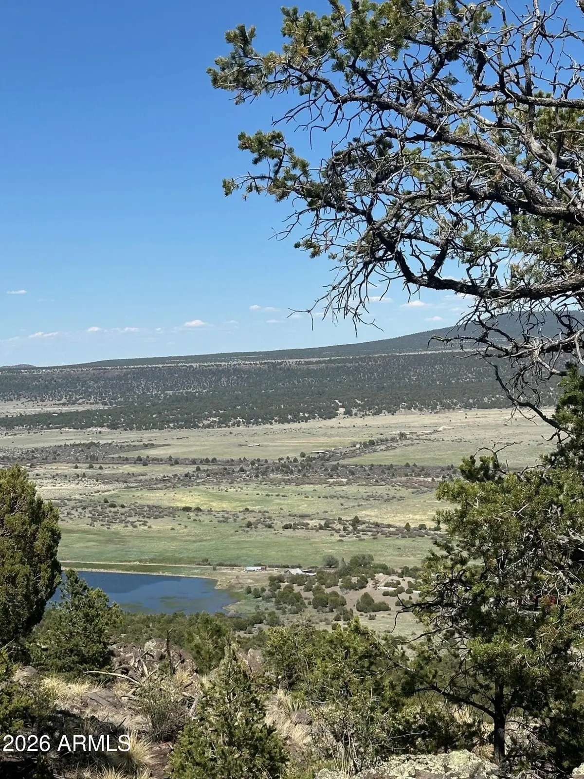 n2331 N N2331 -- #10268001, Nutrioso, AZ 85932 - Image #1