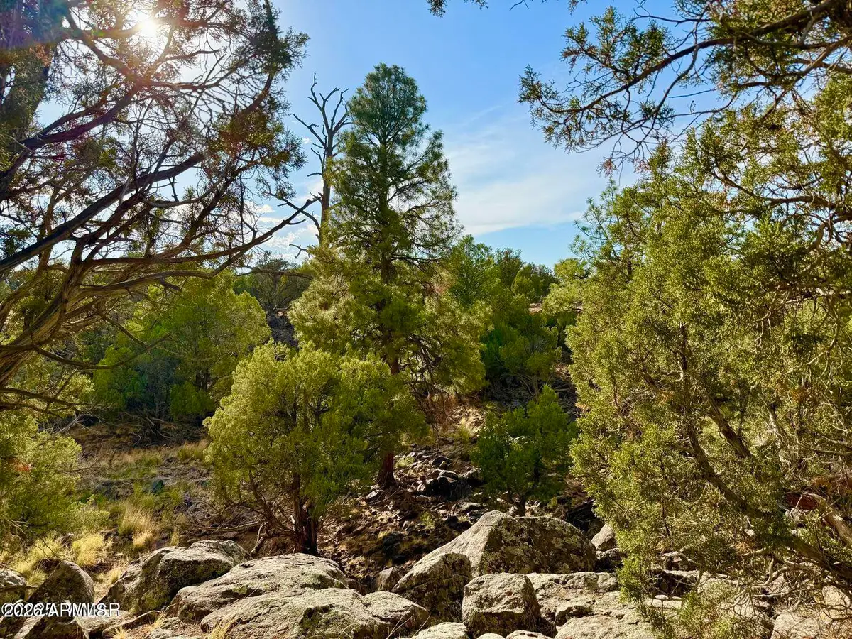 1838 Rocky Bottom Place, Show Low, AZ 85901 - #1