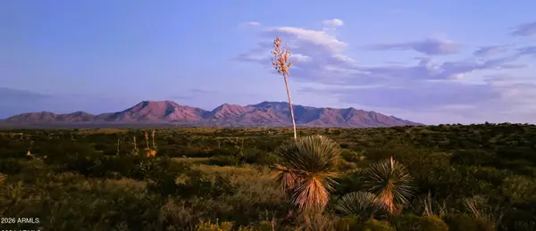 TBD E Walker Ranch Road #'-', Dragoon, AZ 85609