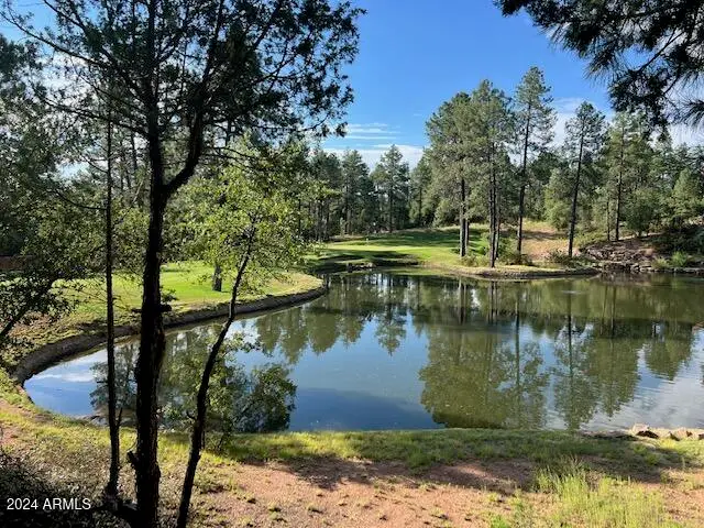 2609 E Pine Island Lane, Payson, AZ 85541 - #3