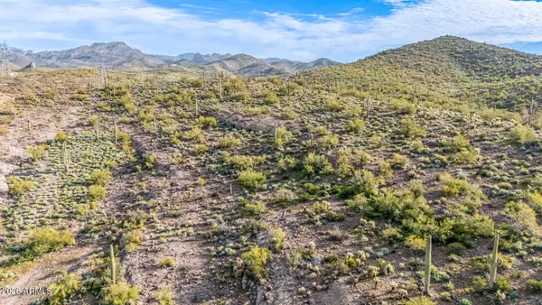 74 E Elephant Butte Road #5, Gold Canyon, AZ 85118