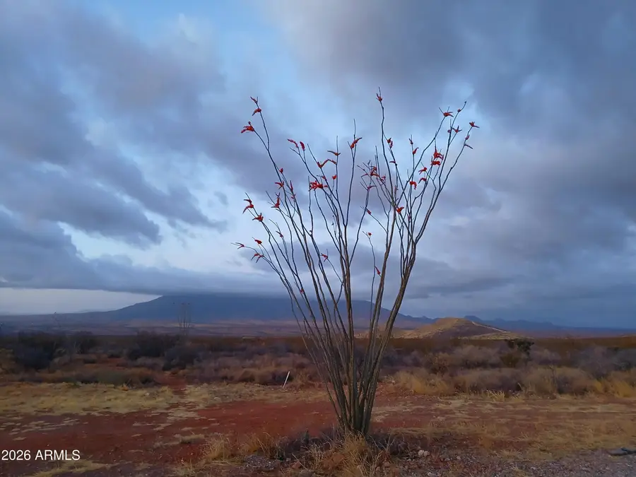 TBD W Luna Nueva Road, Bisbee, AZ 85603 - #2