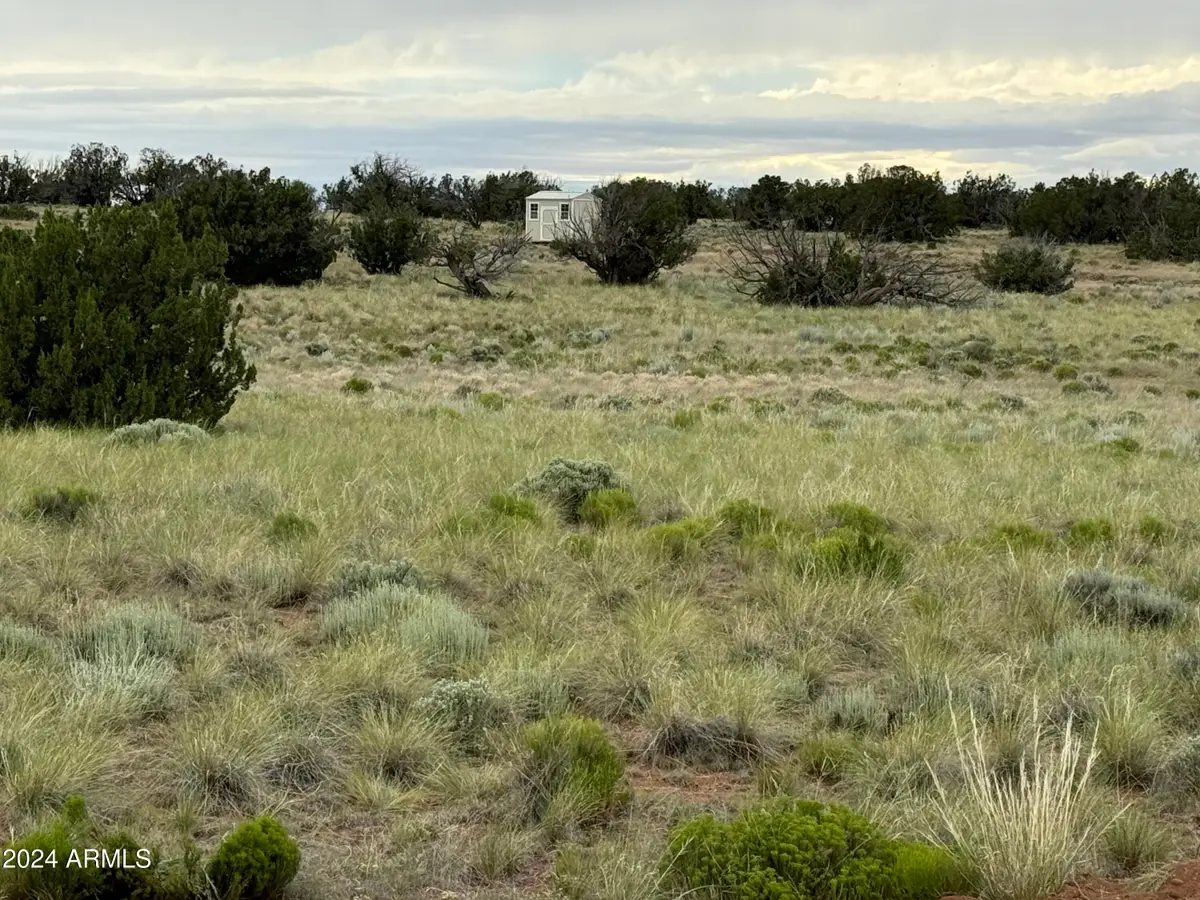 217 Sierra Highlands Ranch -- #217, Saint Johns, AZ 85936 - #1