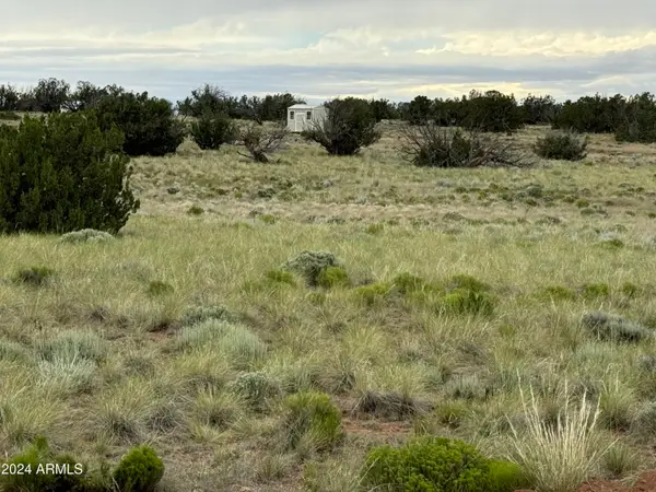 217 Sierra Highlands Ranch -- #217, St Johns, AZ 85936