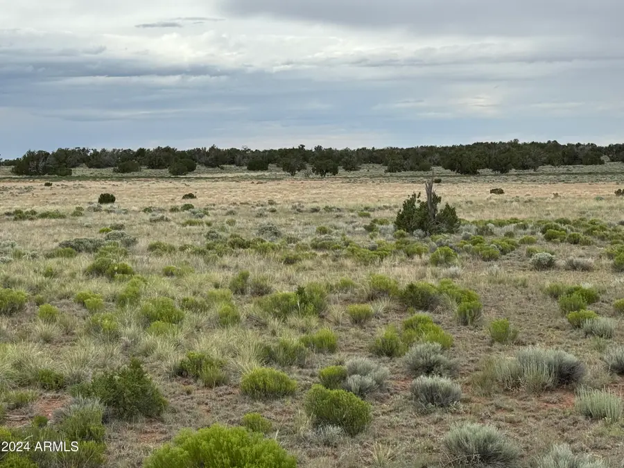 217 Sierra Highlands Ranch -- #217, Saint Johns, AZ 85936 - #3