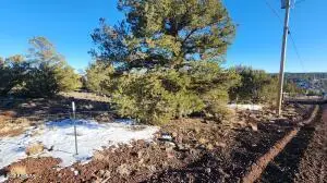 4 County Road 8127 -- #2369, Concho, AZ 85924 - #2