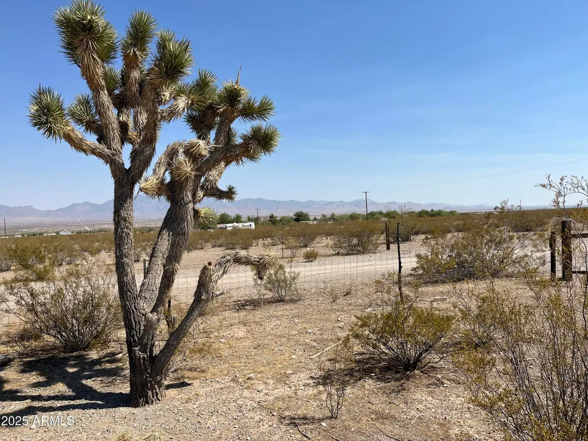 xxxxxx N Becky Road #322, Dolan Springs, AZ 86441 - #1