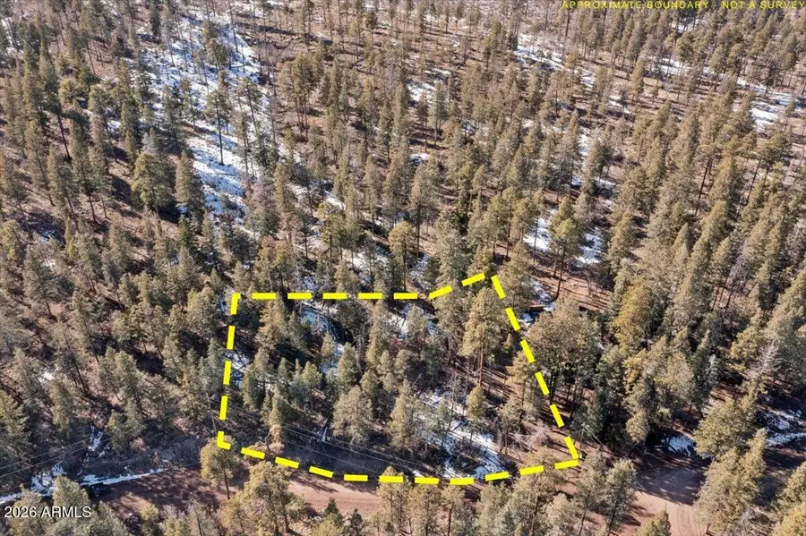 9 County Road 2073 -- #1, Alpine, AZ 85920 - #3