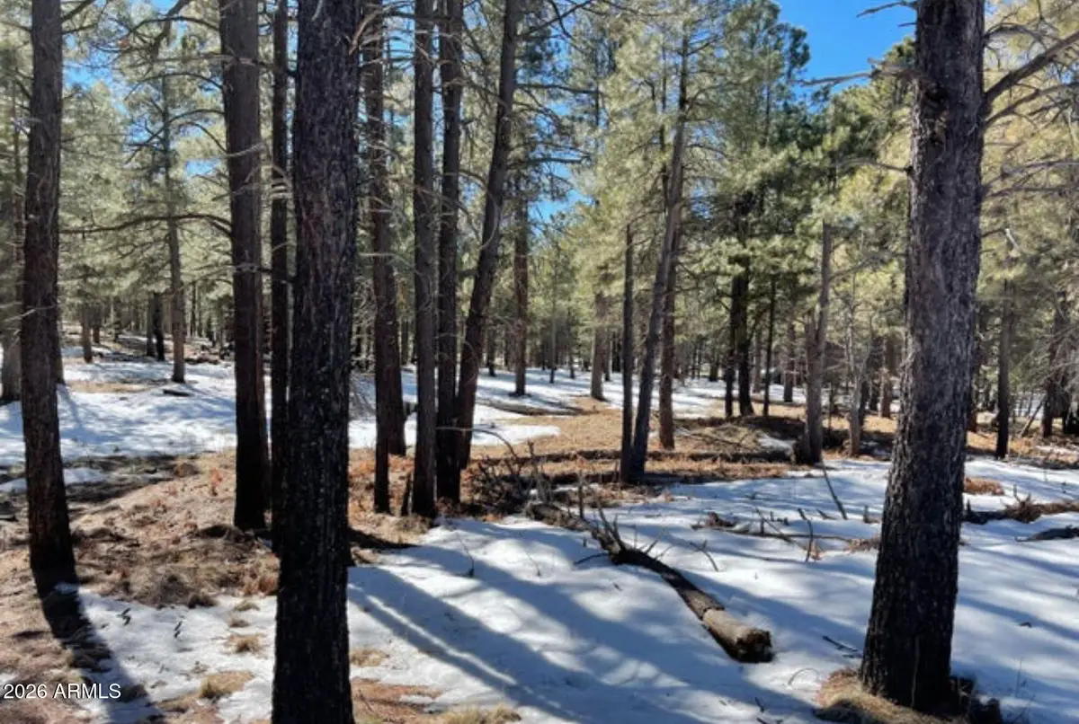 2692 State Route 260 Route #895, Forest Lakes, AZ 85931 - #1