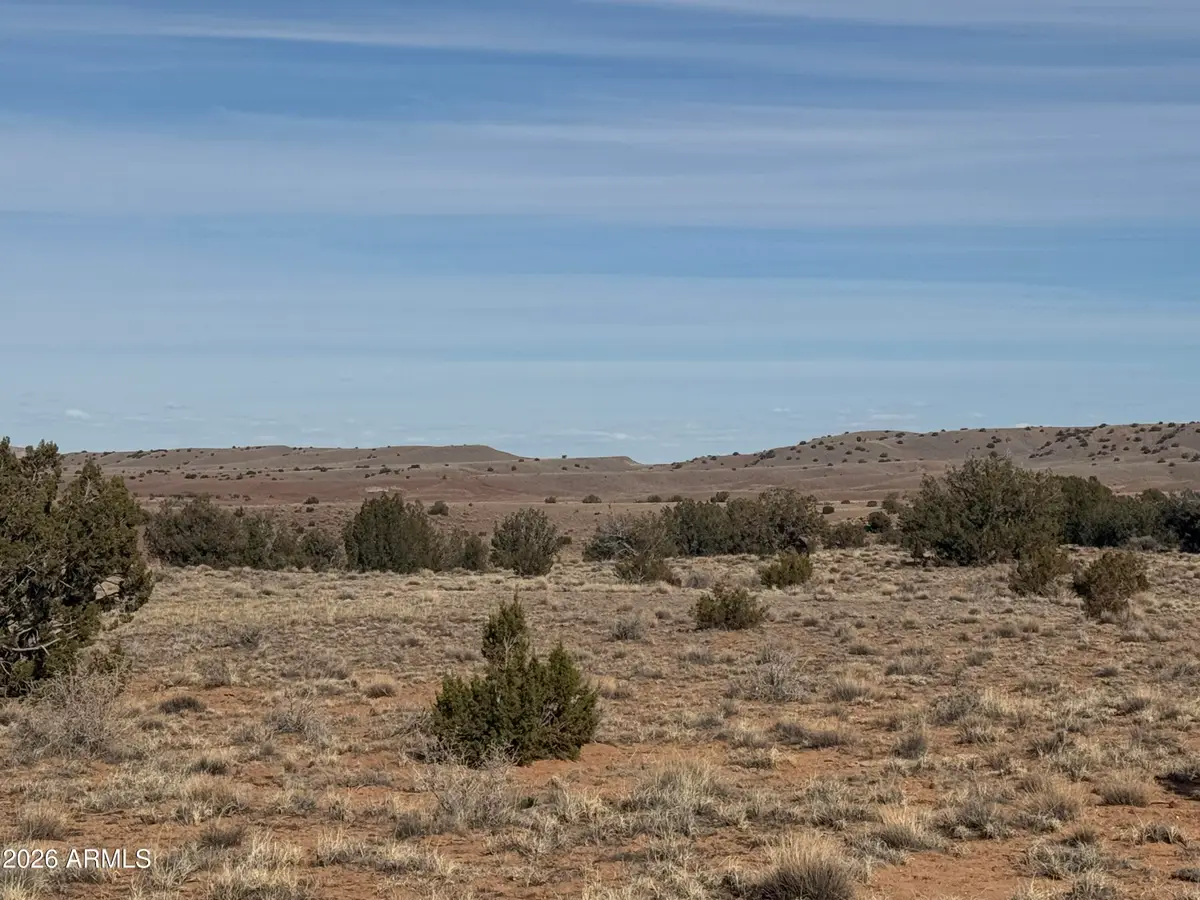 Lot D Parcel # 212-63-004-5152 -- #D, Concho, AZ 85924 - #1