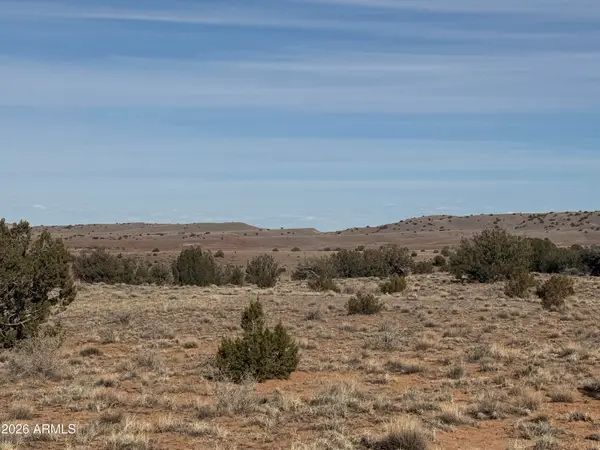 Lot D Parcel # 212-63-004-5152 -- #D, Concho, AZ 85924