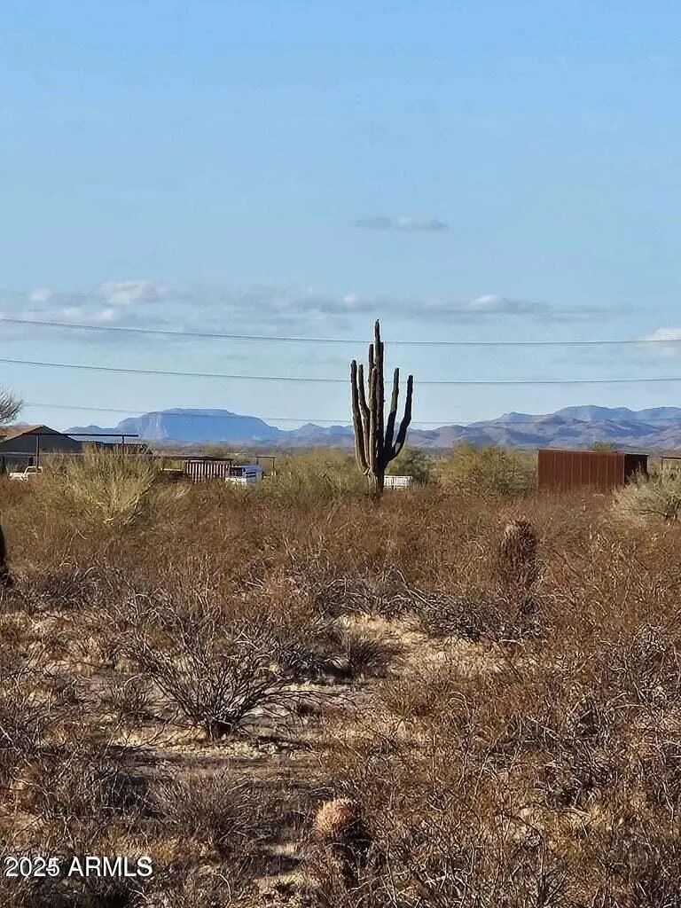 21600 2A W Galvin Street #1, Wittmann, AZ 85361 - #1