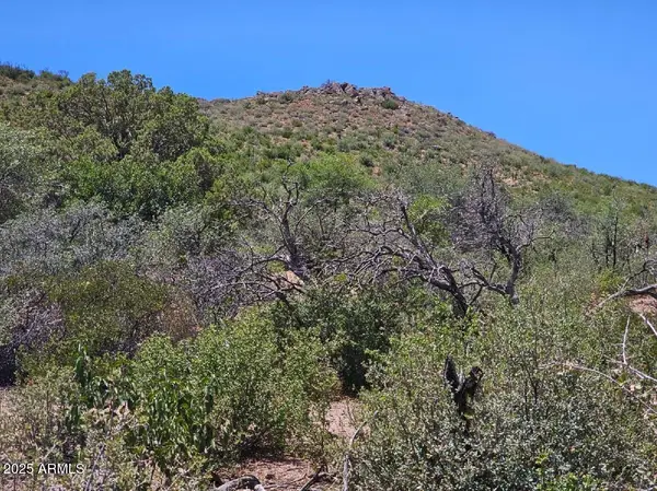 4XX S El Capitan Drive, Globe, AZ 85501