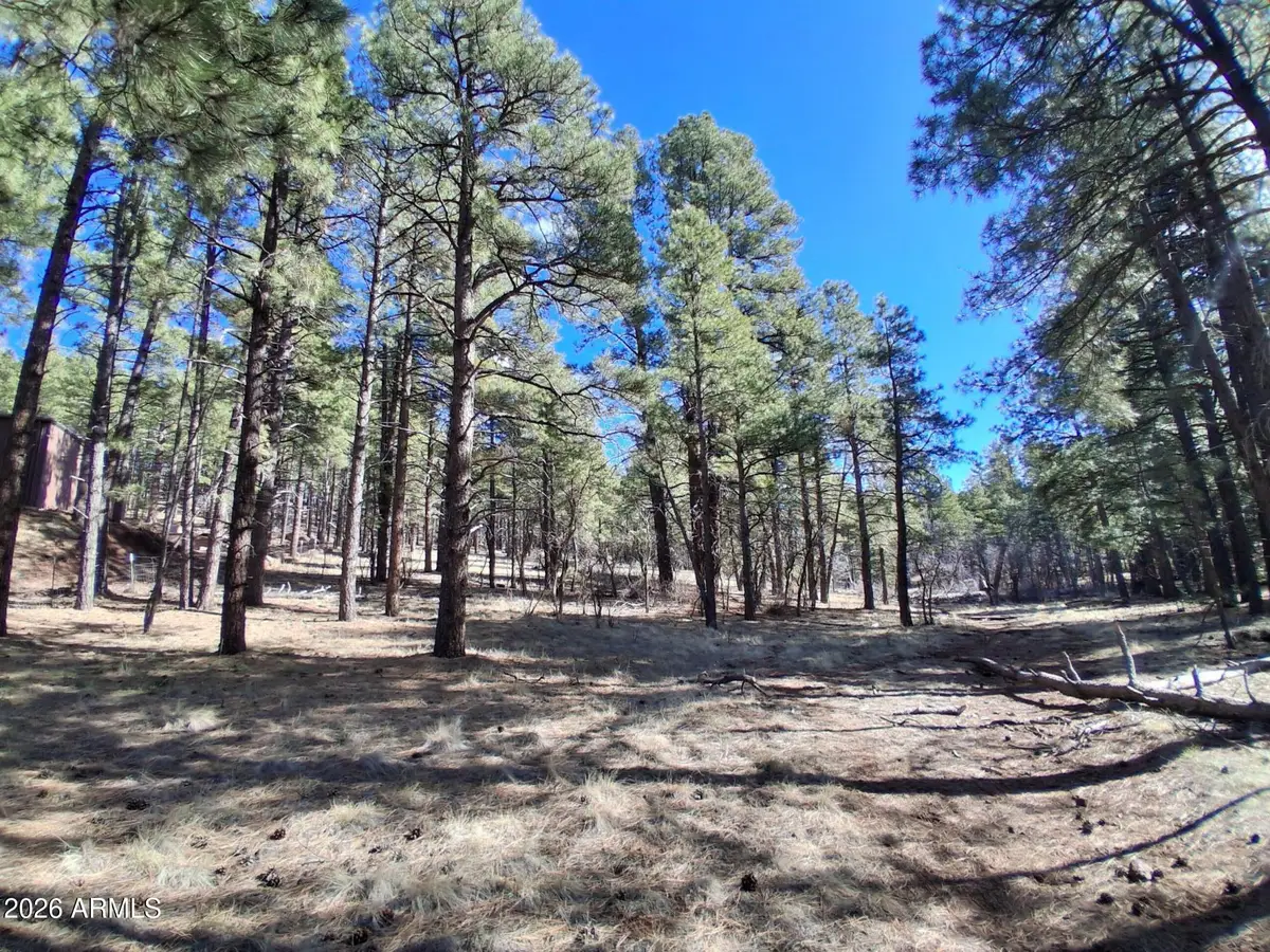 13696 E Kings Deer Road, Parks, AZ 86018 - #1