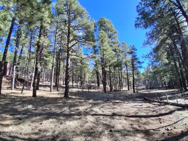 13696 E Kings Deer Road, Parks, AZ 86018