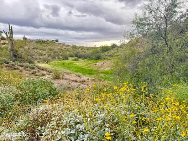 300 N Elizabeth Street, Queen Valley, AZ 85118