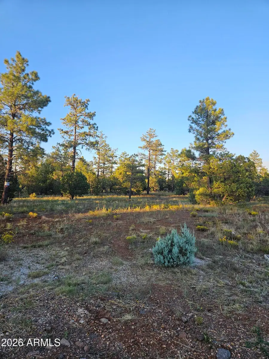 4843 W Bison Trail #41, Lakeside, AZ 85929 - #2