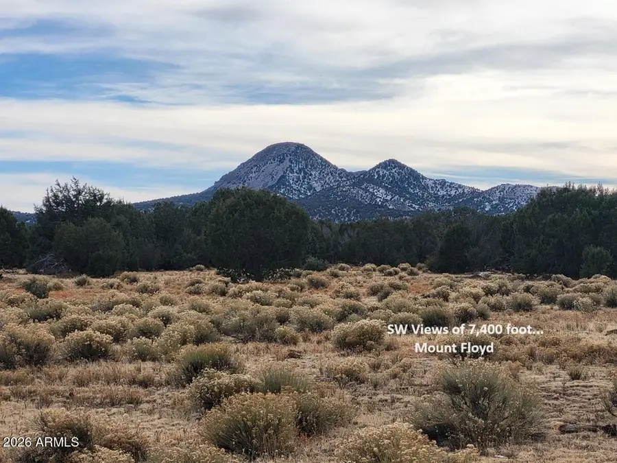 51 SW Ranch Road #51C, Williams, AZ 86046 - #2