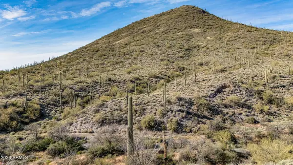 7XXX N 80th Street #'-', Cave Creek, AZ 85331