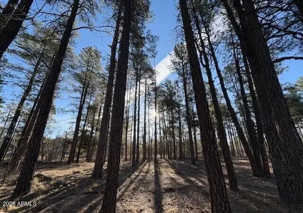 2360 Narrow Leaf Lane, Show Low, AZ 85901